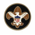 Full Color Mylar Insert - 2" Boy Scouts